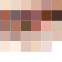 Skin Tones